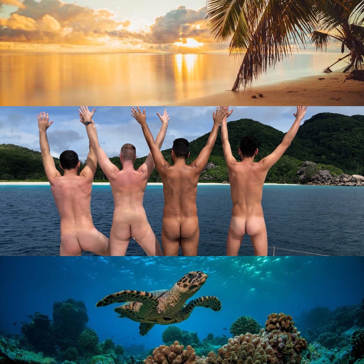 Seychelles - Image 3